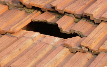 roof repair Peterstone Wentlooge, Newport